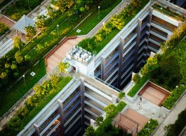 Imagem aérea prédio com terraço com plantas