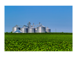 Imagem de um campo de plantação com silos ao fundo